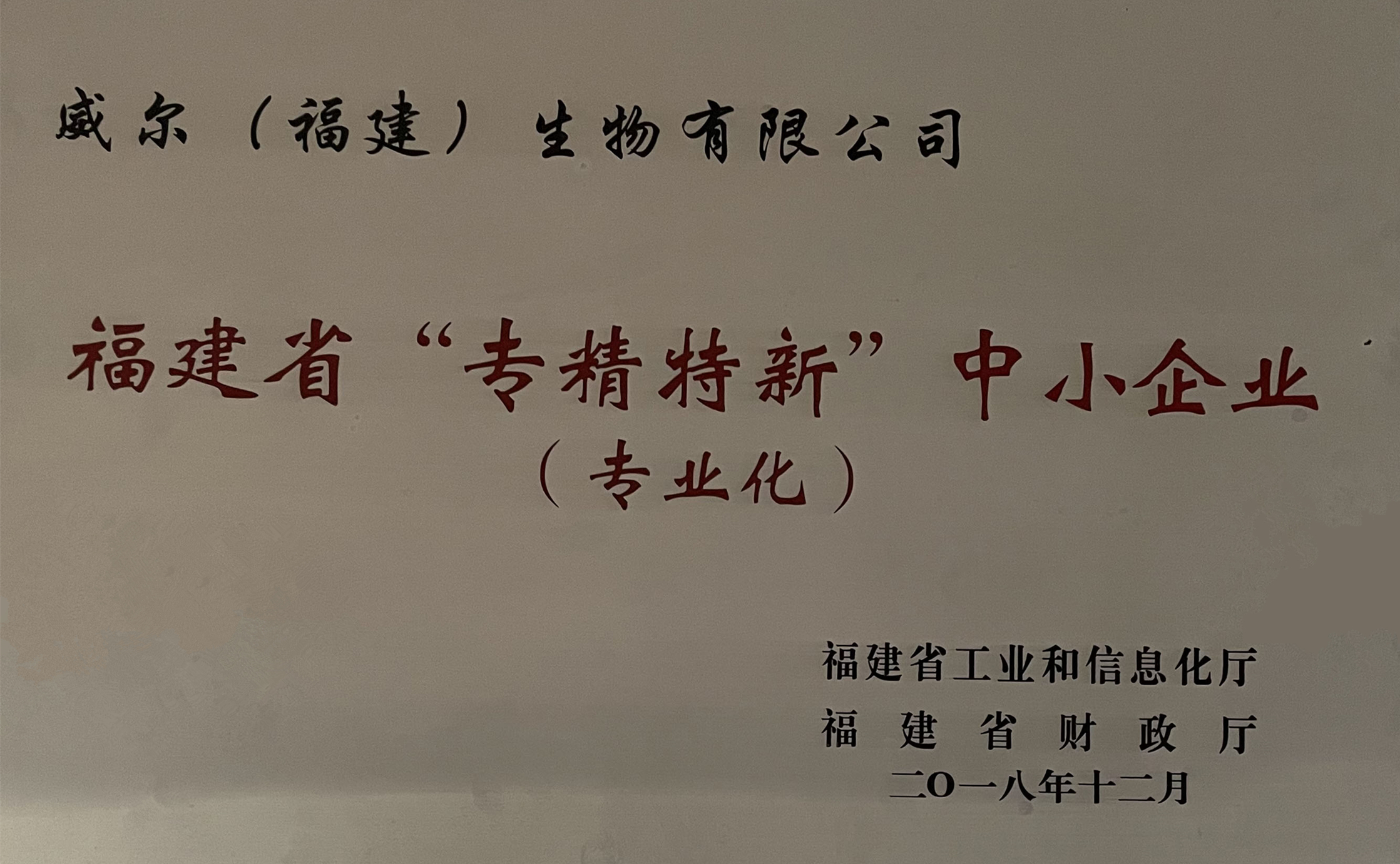 專精特新