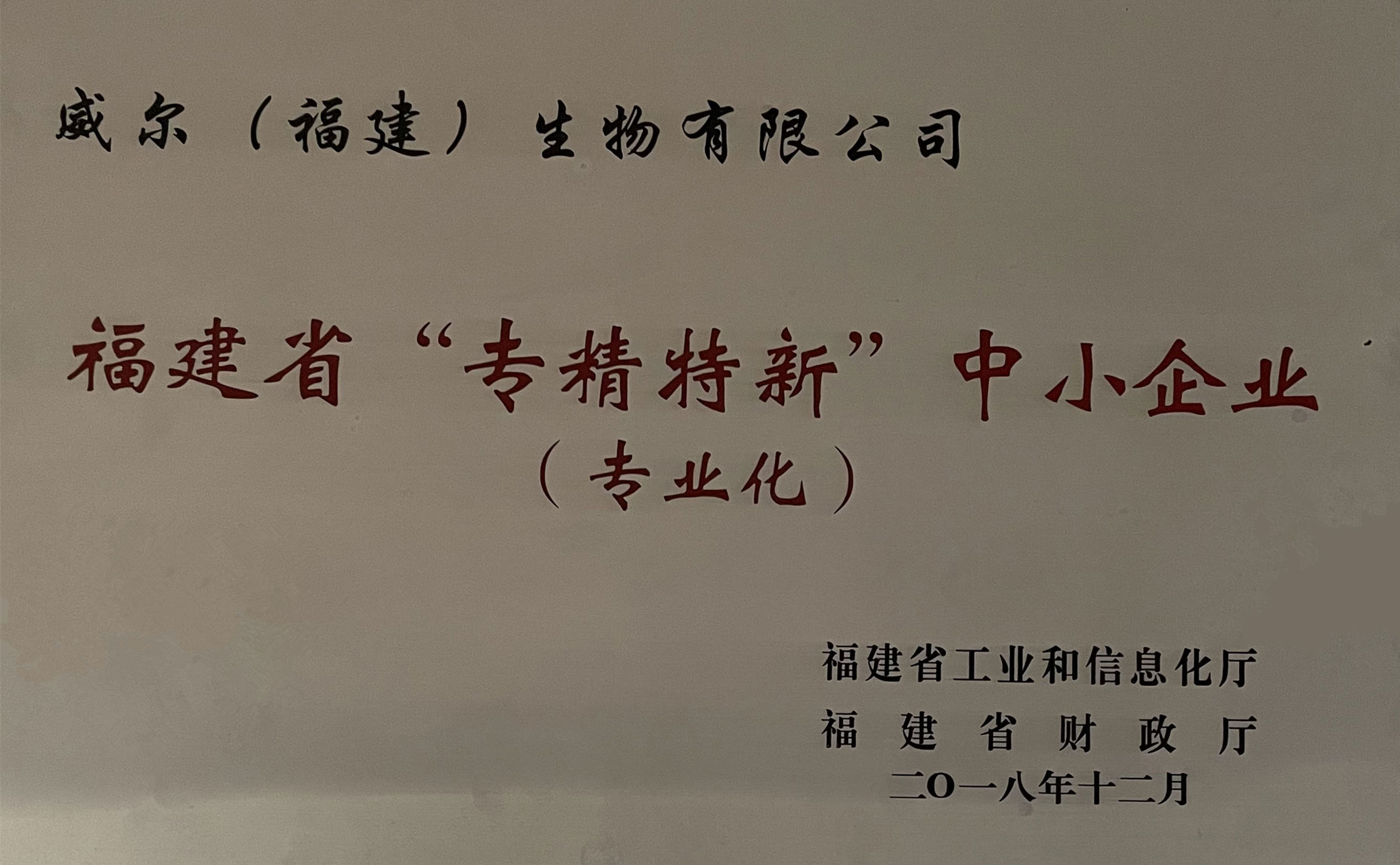 公司榮譽(yù)